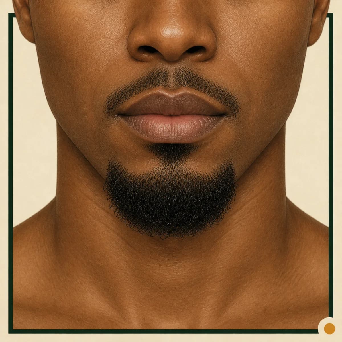 Close-up illustration of a separate mustache and centered chin beard with clean outer jaw areas